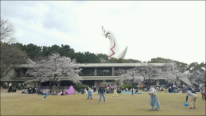 4月6日 桜まつり